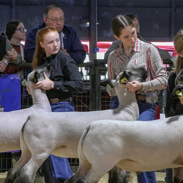 State Fair Showcases Agriculture's Importance in Schools