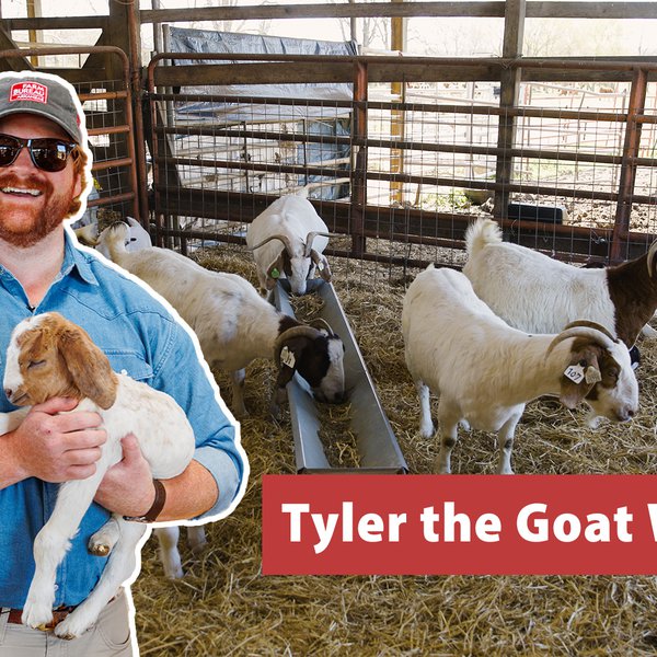 Filthy Farm Jobs | Tyler the Goat Whisperer